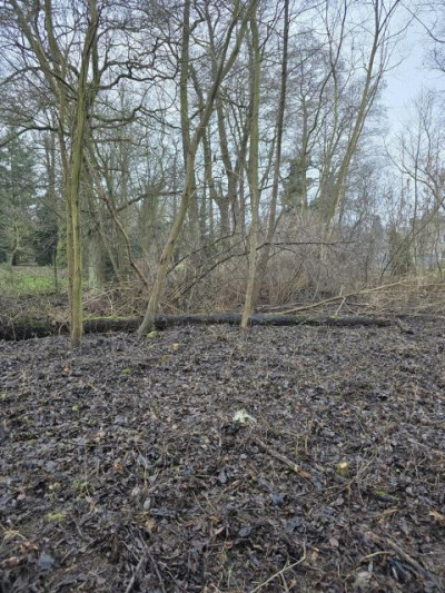 Działka budowlana - Będzin Łagisza  -
Śląskie Zdjęcie nr 3