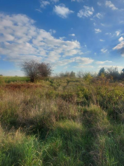 Działka budowlana - Góra Siewierska  - Śląskie