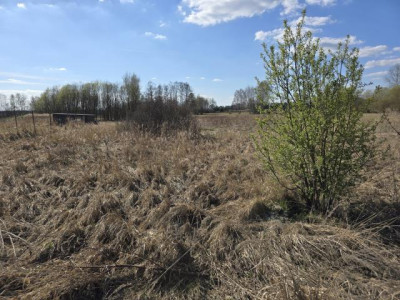 Działka rolno-budowlana - Niegowoniczki  -
Śląskie Zdjęcie nr 12