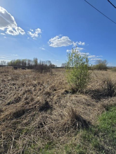 Działka rolno-budowlana - Niegowoniczki  -
Śląskie Zdjęcie nr 13