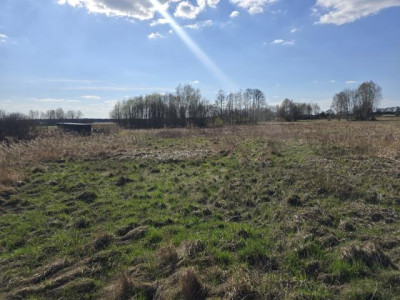 Działka rolno-budowlana - Niegowoniczki  -
Śląskie Zdjęcie nr 2