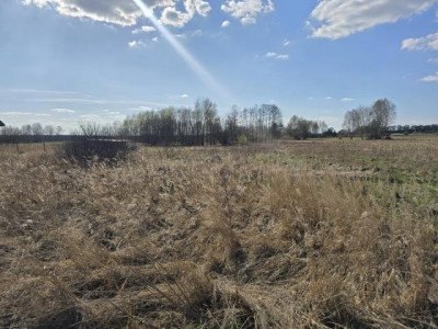 Działka rolno-budowlana - Niegowoniczki  -
Śląskie Zdjęcie nr 3