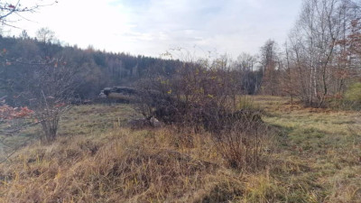 Działka budowlana - Sikorka  -
Śląskie Zdjęcie nr 2