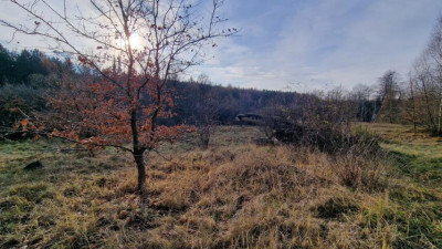 Działka budowlana - Sikorka  -
Śląskie Zdjęcie nr 5