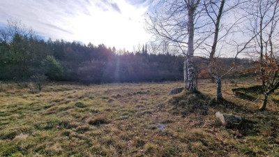 Działka budowlana - Sikorka  -
Śląskie Zdjęcie nr 7