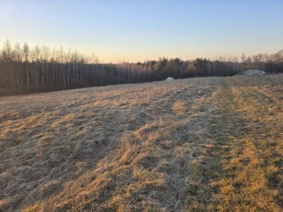 Działka budowlana - Najdziszów  - Śląskie