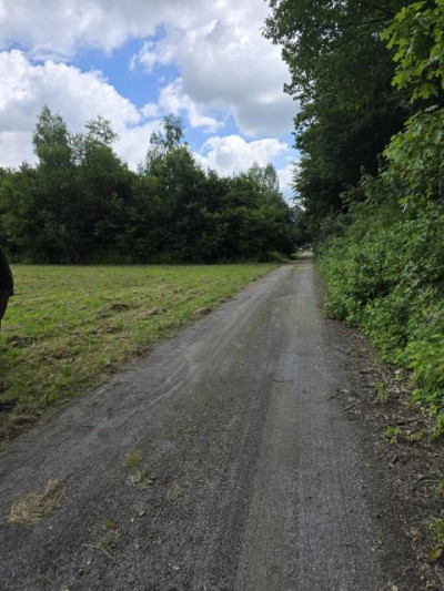 Działka rolno-budowlana - Łosień  -
Śląskie Zdjęcie nr 3