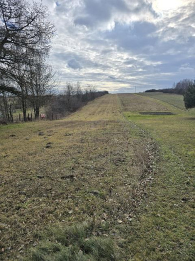 Działka rolno-budowlana - Przeczyce  -
Śląskie Zdjęcie nr 8