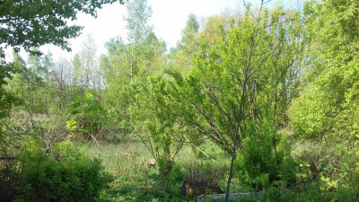 Działka budowlana - Siemonia  - Śląskie