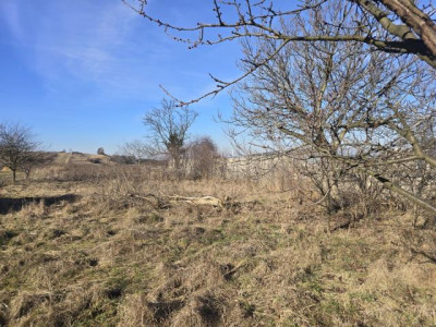 Działka rolno-budowlana - Nowa Wieś  -
Śląskie Zdjęcie nr 3