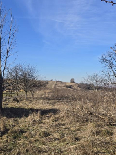 Działka rolno-budowlana - Nowa Wieś  -
Śląskie Zdjęcie nr 4