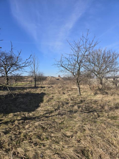 Działka rolno-budowlana - Nowa Wieś  -
Śląskie Zdjęcie nr 5