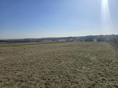 Działka rolno-budowlana - Sadowie  -
Śląskie Zdjęcie nr 5