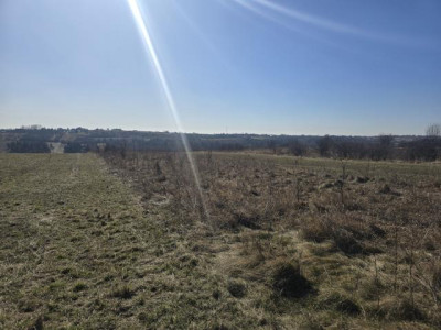 Działka rolno-budowlana - Sadowie  -
Śląskie Zdjęcie nr 6