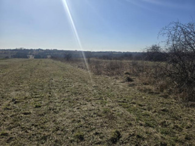 Działka rolno-budowlana - Sadowie  -
Śląskie Zdjęcie nr 7