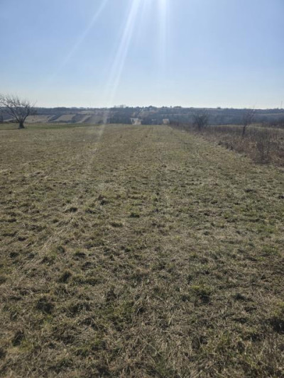 Działka rolno-budowlana - Sadowie  -
Śląskie Zdjęcie nr 8