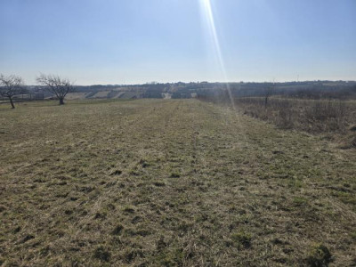 Działka rolno-budowlana - Sadowie  -
Śląskie Zdjęcie nr 9