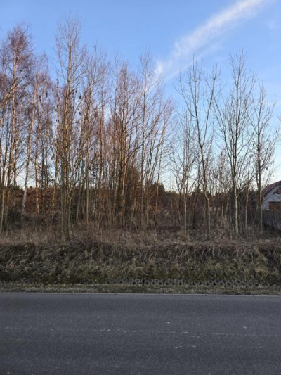 Działka rolno-budowlana - Malinowice  -
Śląskie Zdjęcie nr 6