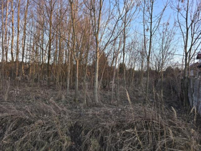 Działka rolno-budowlana - Malinowice  -
Śląskie Zdjęcie nr 8