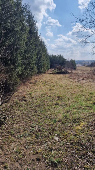 Działka budowlana - Sadowie  -
Śląskie Zdjęcie nr 5