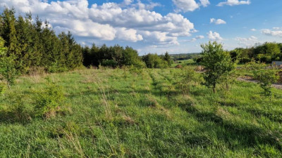 Działka budowlana - Sadowie  -
Śląskie Zdjęcie nr 6