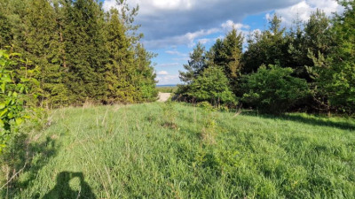 Działka budowlana - Sadowie  -
Śląskie Zdjęcie nr 7