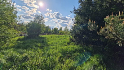 Działka budowlana - Sadowie  -
Śląskie Zdjęcie nr 9