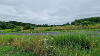Działka budowlana - Sadowie  - Śląskie