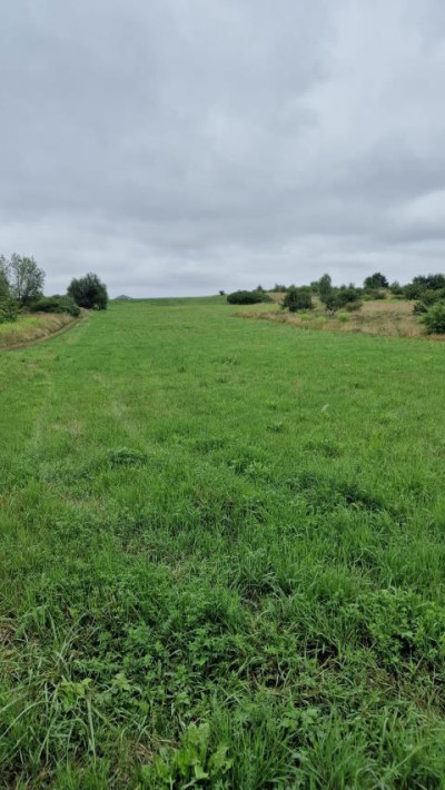 Działka budowlana - Sadowie  -
Śląskie Zdjęcie nr 6