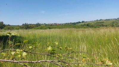 Działka budowlana - Sadowie  -
Śląskie Zdjęcie nr 2