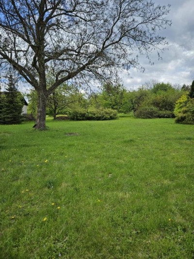 Działka budowlana - Wysoka  -
Śląskie Zdjęcie nr 2