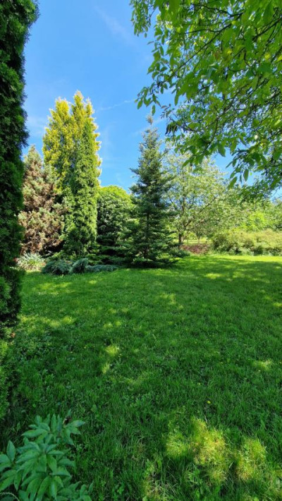 Działka budowlana - Wysoka  -
Śląskie Zdjęcie nr 5