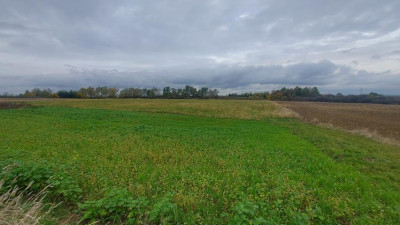 Działka budowlana - Góra Siewierska  -
Śląskie Zdjęcie nr 4