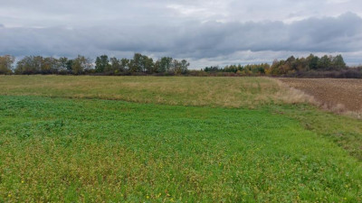 Działka budowlana - Góra Siewierska  -
Śląskie Zdjęcie nr 5