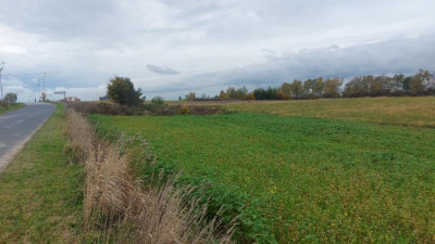 Działka budowlana - Góra Siewierska  -
Śląskie Zdjęcie nr 6