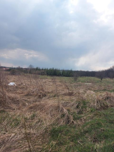 Działka rolno-budowlana - Chruszczobród  -
Śląskie Zdjęcie nr 2