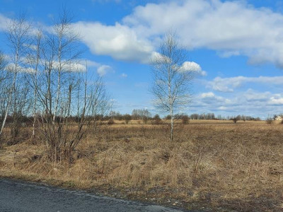 Działka rolno-budowlana - Chruszczobród  -
Śląskie Zdjęcie nr 3