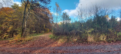 Działka rolna - Trzebiesławice  -
Śląskie