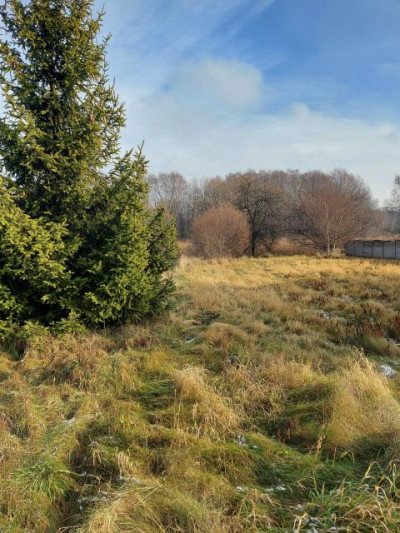 Działka budowlana - Chruszczobród   -
Śląskie