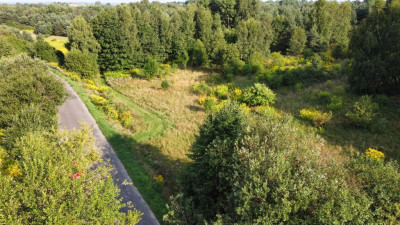 Działka budowlana - Sadowie   -
Śląskie Zdjęcie nr 3