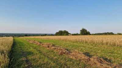 Działka budowlana - Zawada   -
Śląskie