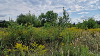 Działka budowlana - Grodków   -
Śląskie