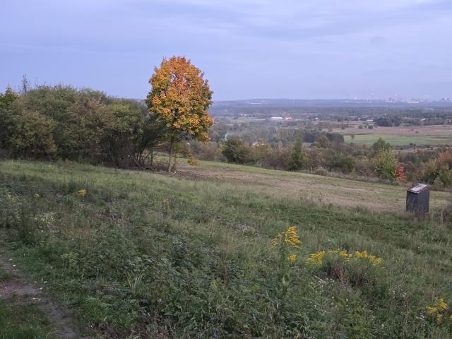 Działka budowlana - Brzękowice-Wał   -
Śląskie Zdjęcie nr 1