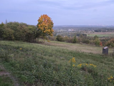 Działka budowlana - Brzękowice-Wał   -
Śląskie