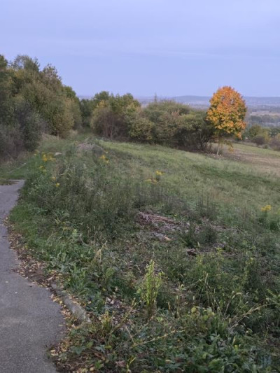 Działka budowlana - Brzękowice-Wał   -
Śląskie Zdjęcie nr 2