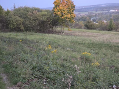 Działka budowlana - Brzękowice-Wał   -
Śląskie Zdjęcie nr 3