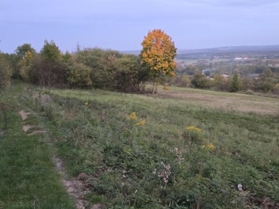 Działka budowlana - Brzękowice-Wał   -
Śląskie Zdjęcie nr 6