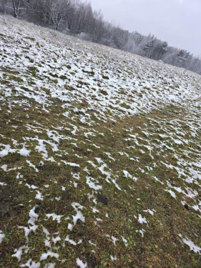 Działka budowlana - Najdziszów   -
Śląskie Zdjęcie nr 3