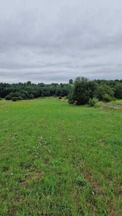 Działka budowlana - Sadowie   -
Śląskie Zdjęcie nr 5