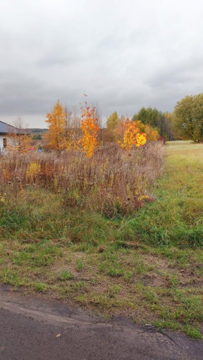 Działka budowlana - Psary   -
Śląskie Zdjęcie nr 8